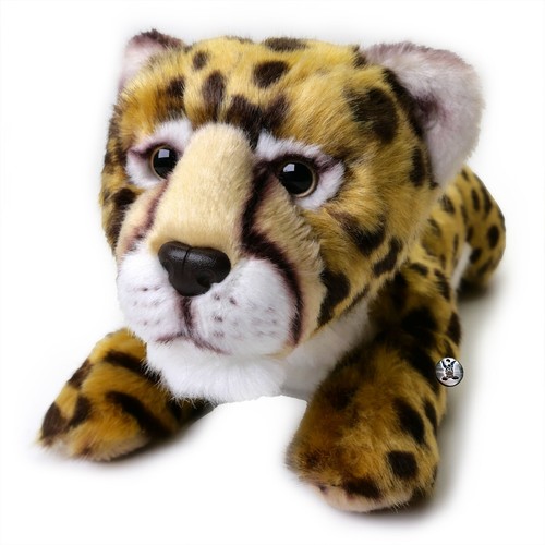 Gepard katze raubkatze - gepard,