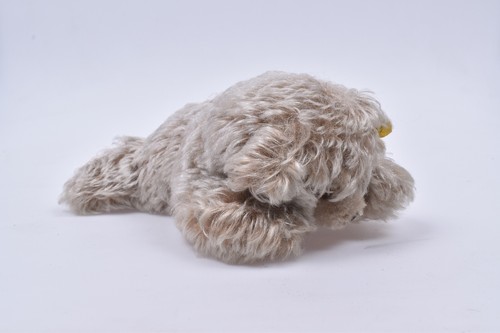 Steiff pudel 5507 - steiff, 5507/17