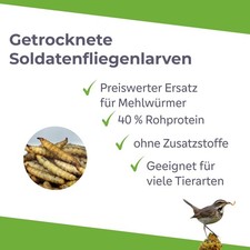 Soldatenfliegenlarven 5 kg wie Mehlwürmer Hermetia Black Soldier Fly Koi Vögel