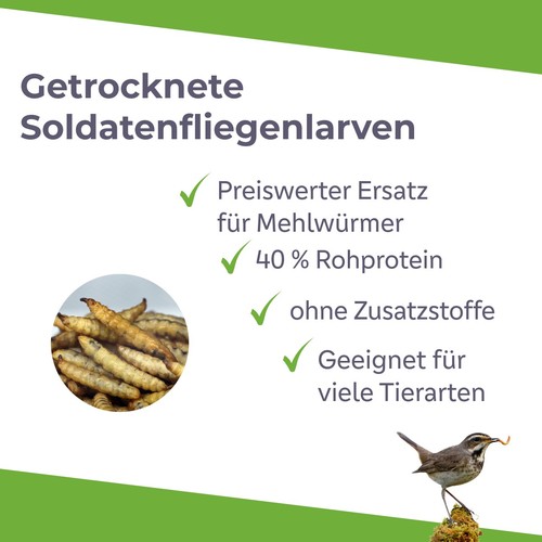 Soldatenfliegenlarven wie - 5, kg