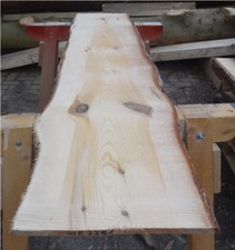 Kiefer,Bohle,Baumstamm,Drechselholz,Tischplatte,Waschtisch,ca.160x32x1cm,2281