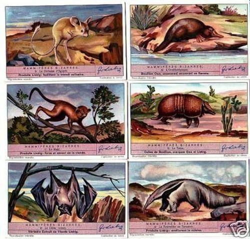 Liebig serie sammelbilder - liebig,