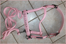 ESKADRON Halfer-Set  Gr. VB