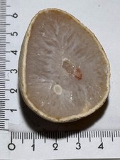 Achat Geode (Quarz), Österreich, Mineralien N° 976/B42-E