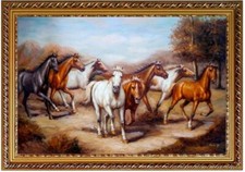 Pferdebild, Wildpferde