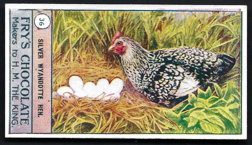 Braten vögel geflügel - &,