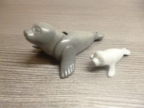 Playmobil wildlife seehund - playmobil,