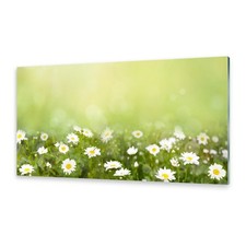 Acrylglasbilder Wandbild aus