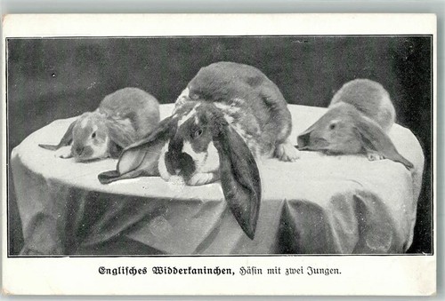 13576223 aus der zeitschrift - 13576223,