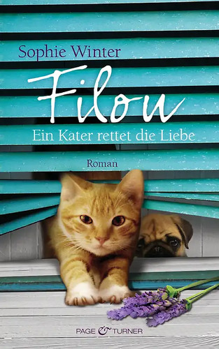 Filou ein kater - -,