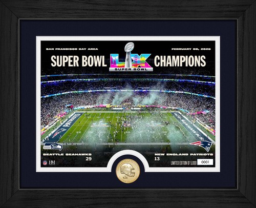 Seattle seahawks nfl - seattle, super