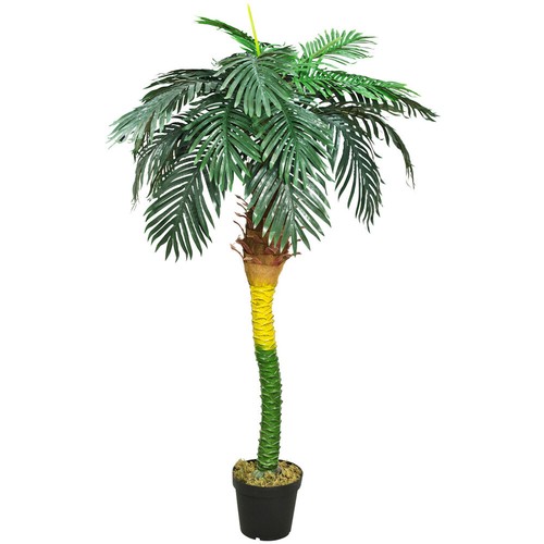 Palmenbaum königs palme - königs,