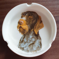 Porzellan Aschenbecher mit Deutsch Drahthaar