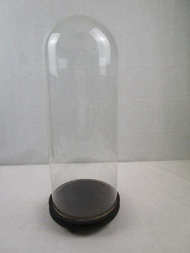 Glasdom stolp mit - /, holzsockel