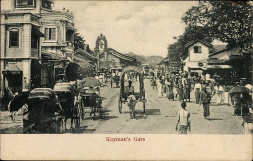 Ceylon sri lanka kaymans - ak,