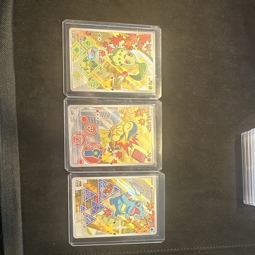Pokémon tcg erste partner - pokémon,