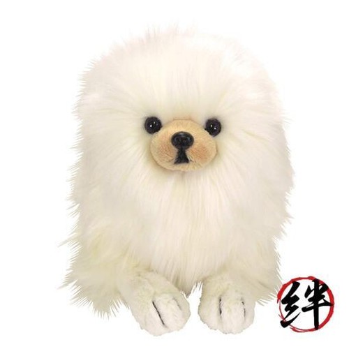 Sun lemon kniehund pomeranian - lemon,