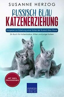 Russisch blau katzenerziehung - russisch,