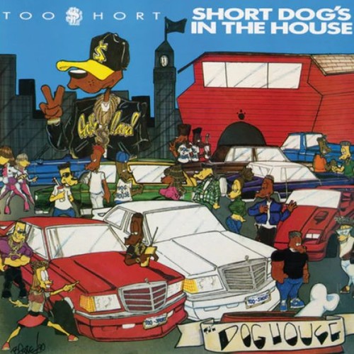 Too short dog - short,