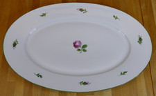 Augarten Wien – Wiener Rose