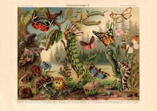 Schutzeinrichtungen II