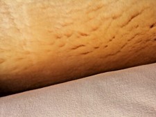 Echt medizinisches Merino