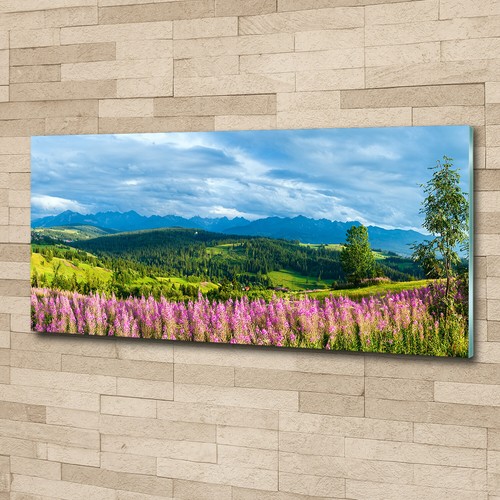 Acrylglas bild wandbilder - acrylglas-bild,