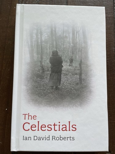The celestials ian david - hb,