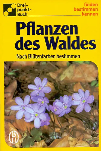 Pflanzen des waldes nach - pflanzen, waldes.