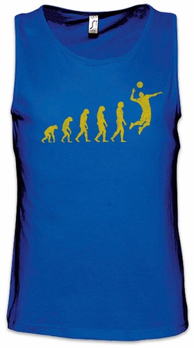 Volleyball evolution herren - evolution,