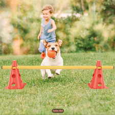 Dog agility training set - dog,
