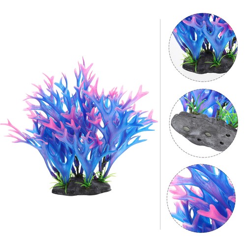 Aquarienpflanzen