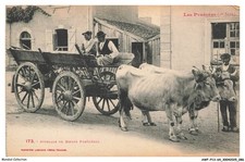 AWF-P13-0992-64 - Zuggeschirr Für Pyrenäische Ochsen