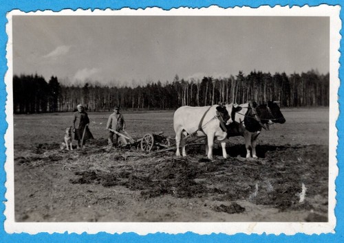 109 549 foto alte - 109/549,