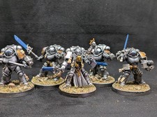 241 Paladins Primaris Scale