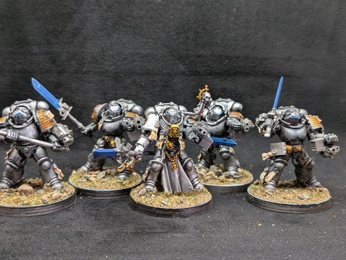 241 paladins primaris scale - primaris,
