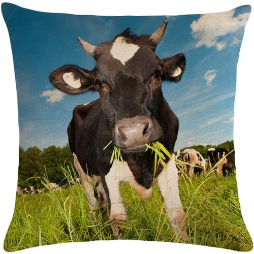 Kissenbezug 45x45cm baumwolle - kissenbezug,