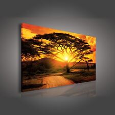 LEINWANDBILD WANDBILD WANDBILDER CANVAS SONNENUNTERGANG AFRIKA 3FX107O1