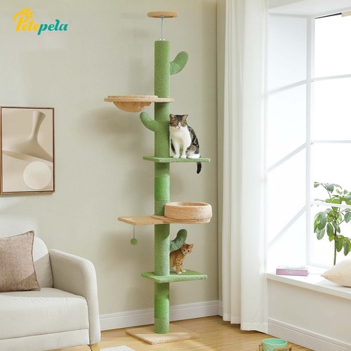 Petepela kaktus kratzbaum - kaktus,