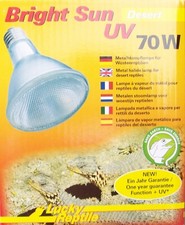 Lucky Reptile Bright Sun