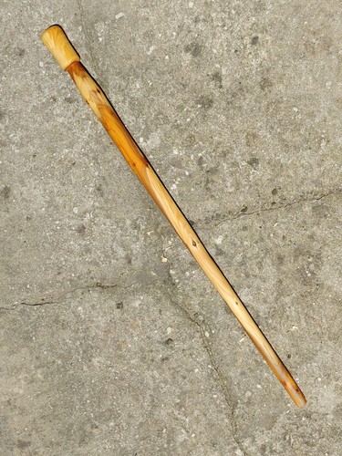 Englische eibe shillelagh - eibe,