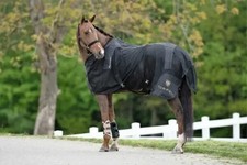 TORPOL® Magnetfeld Therapie