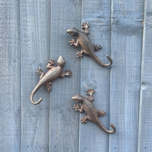 3er set gecko wandbild - set,