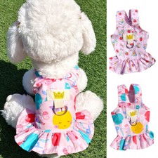 Hunderock Haustierkleid