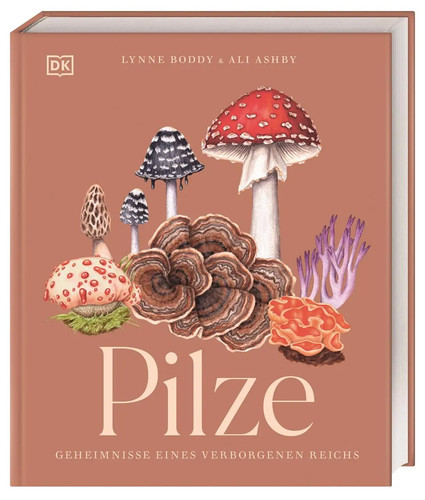 Pilze ali ashby - (u., a.)
