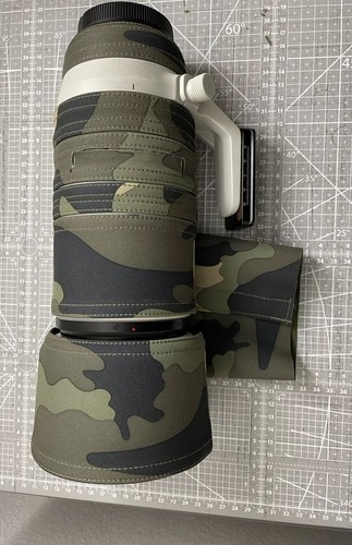 Canon 100 500 - 100-500,