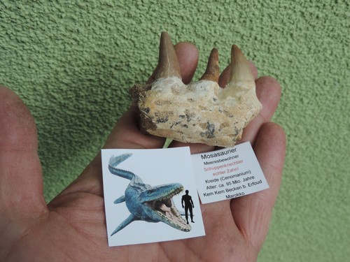 Schöne zähne mit einem - 3,