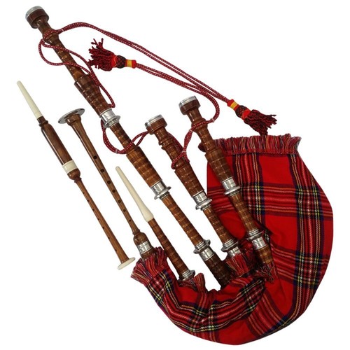 Scottish great highland - great,