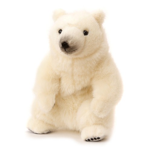 Weiß eisbär von - kosen, /