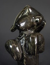 expressiver Hund  -  Dackel  -